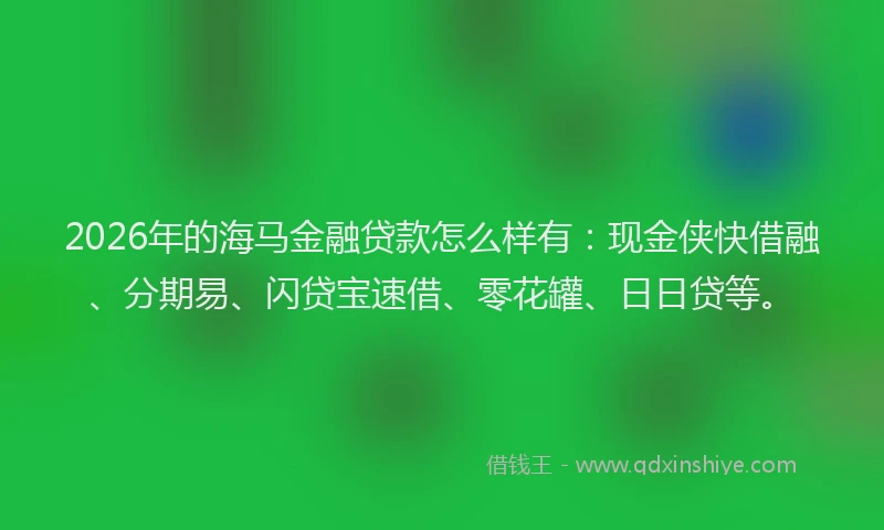 2026年的海马金融贷款怎么样有：现金侠快借融、分期易、闪贷宝速借、零花罐、日日贷等。