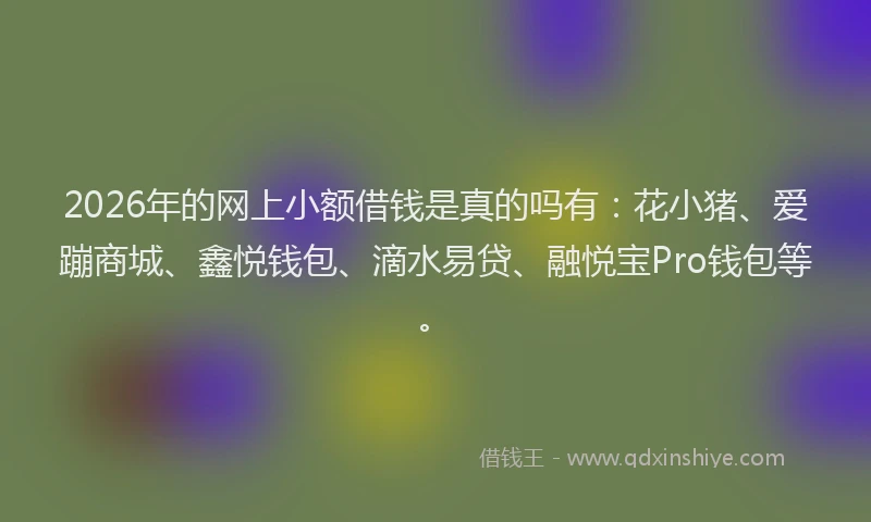 2026年的网上小额借钱是真的吗有：花小猪、爱蹦商城、鑫悦钱包、滴水易贷、融悦宝Pro钱包等。