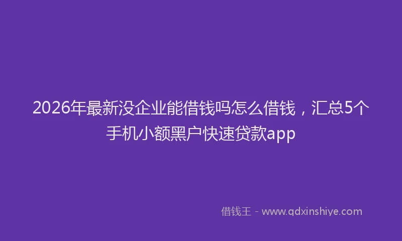2026年最新没企业能借钱吗怎么借钱，汇总5个手机小额黑户快速贷款app