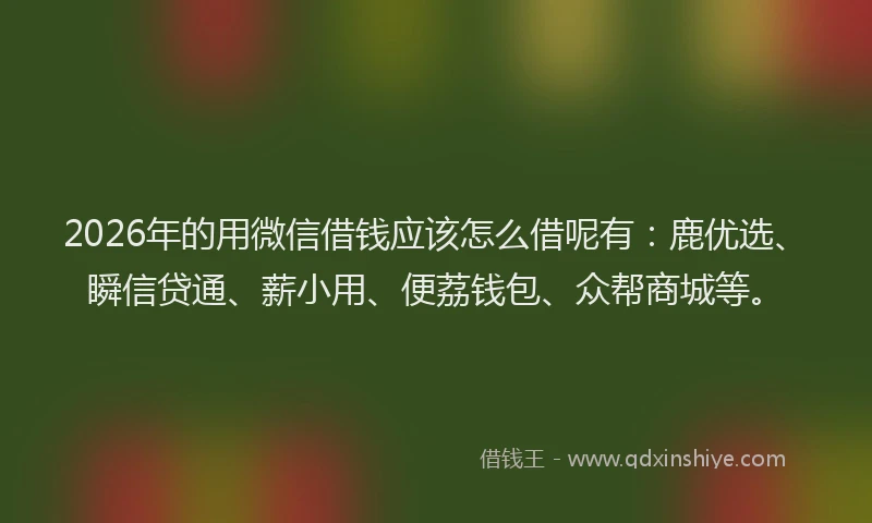 2026年的用微信借钱应该怎么借呢有：鹿优选、瞬信贷通、薪小用、便荔钱包、众帮商城等。
