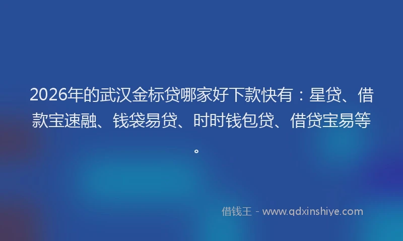 2026年的武汉金标贷哪家好下款快有：星贷、借款宝速融、钱袋易贷、时时钱包贷、借贷宝易等。