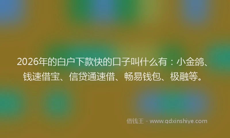 2026年的白户下款快的口子叫什么有：小金鸽、钱速借宝、信贷通速借、畅易钱包、极融等。