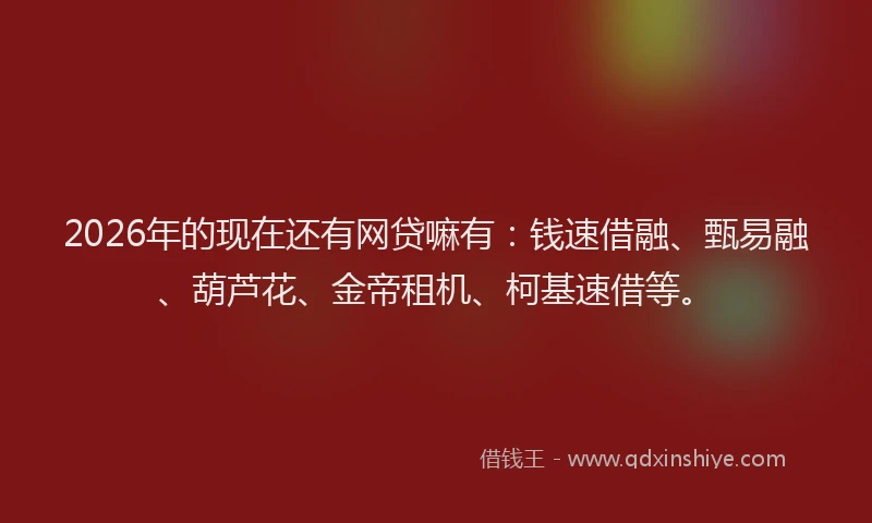2026年的现在还有网贷嘛有：钱速借融、甄易融、葫芦花、金帝租机、柯基速借等。