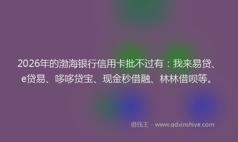 2026年的渤海银行信用卡批不过有：我来易贷、e贷易、哆哆贷宝、现金秒借融、林林借呗等。