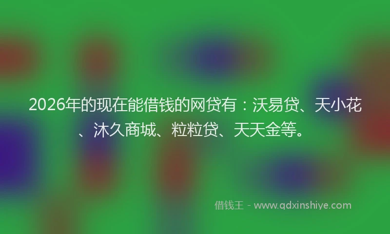 2026年的现在能借钱的网贷有：沃易贷、天小花、沐久商城、粒粒贷、天天金等。