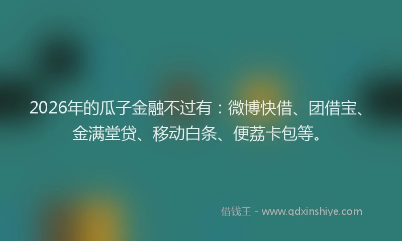 2026年的瓜子金融不过有：微博快借、团借宝、金满堂贷、移动白条、便荔卡包等。