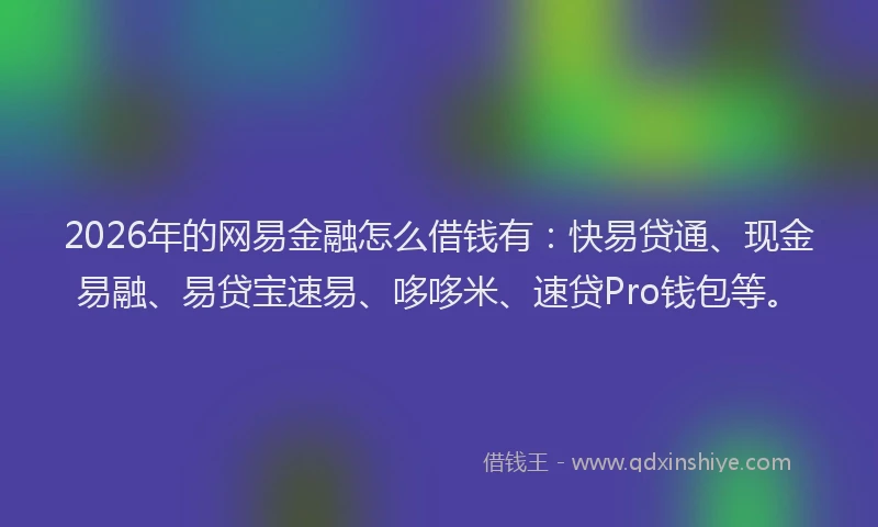 2026年的网易金融怎么借钱有：快易贷通、现金易融、易贷宝速易、哆哆米、速贷Pro钱包等。