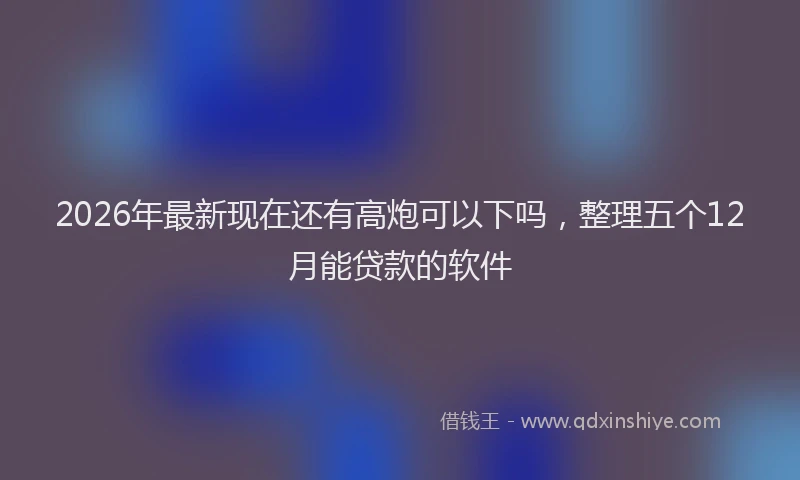 2026年最新现在还有高炮可以下吗，整理五个12月能贷款的软件