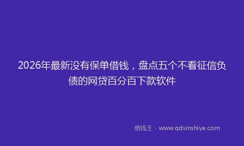 2026年最新没有保单借钱，盘点五个不看征信负债的网贷百分百下款软件