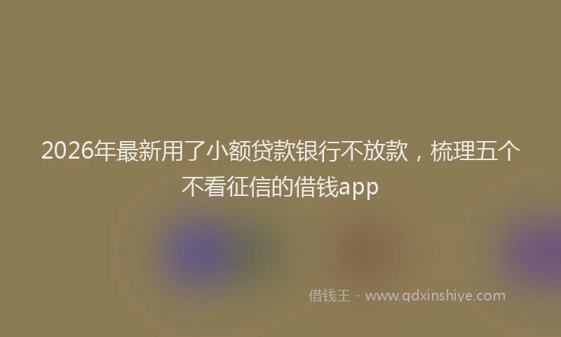 2026年最新用了小额贷款银行不放款，梳理五个不看征信的借钱app