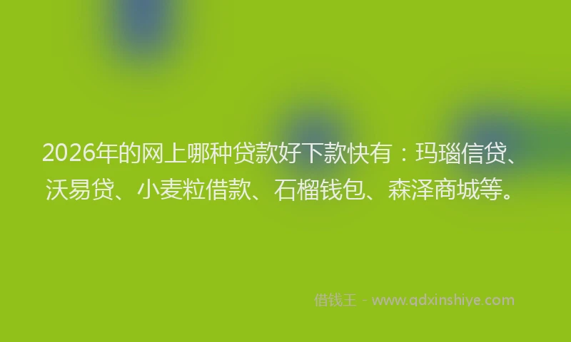 2026年的网上哪种贷款好下款快有：玛瑙信贷、沃易贷、小麦粒借款、石榴钱包、森泽商城等。