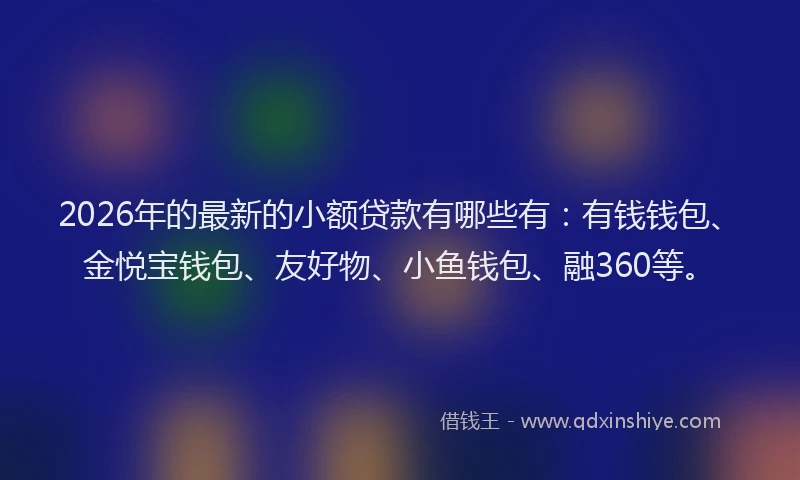 2026年的最新的小额贷款有哪些有：有钱钱包、金悦宝钱包、友好物、小鱼钱包、融360等。