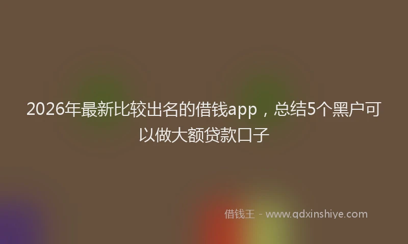 2026年最新比较出名的借钱app，总结5个黑户可以做大额贷款口子