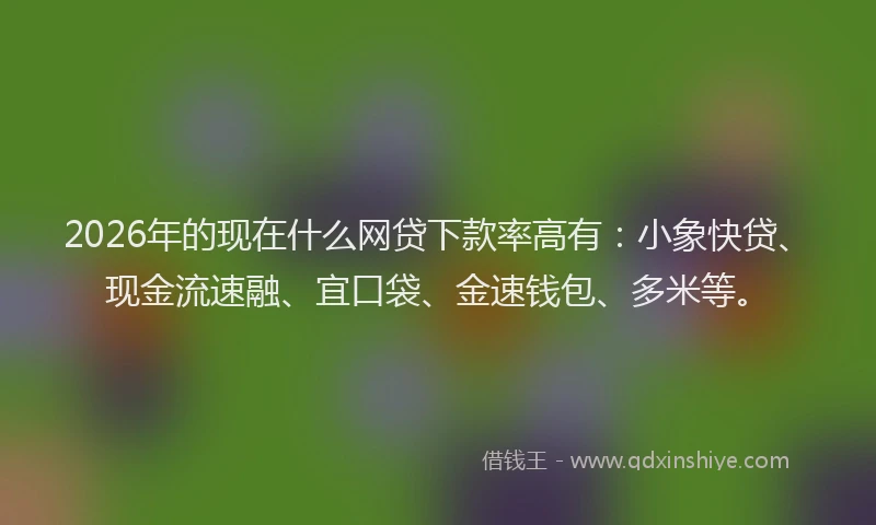 2026年的现在什么网贷下款率高有：小象快贷、现金流速融、宜口袋、金速钱包、多米等。