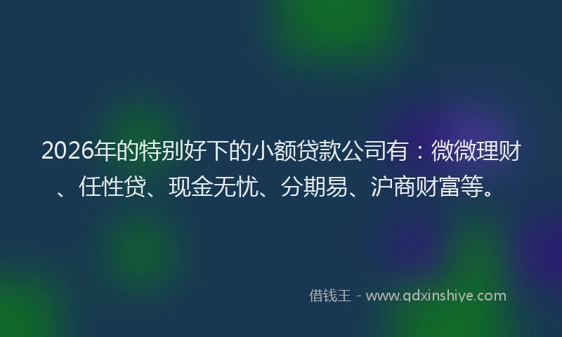 2026年的特别好下的小额贷款公司有：微微理财、任性贷、现金无忧、分期易、沪商财富等。