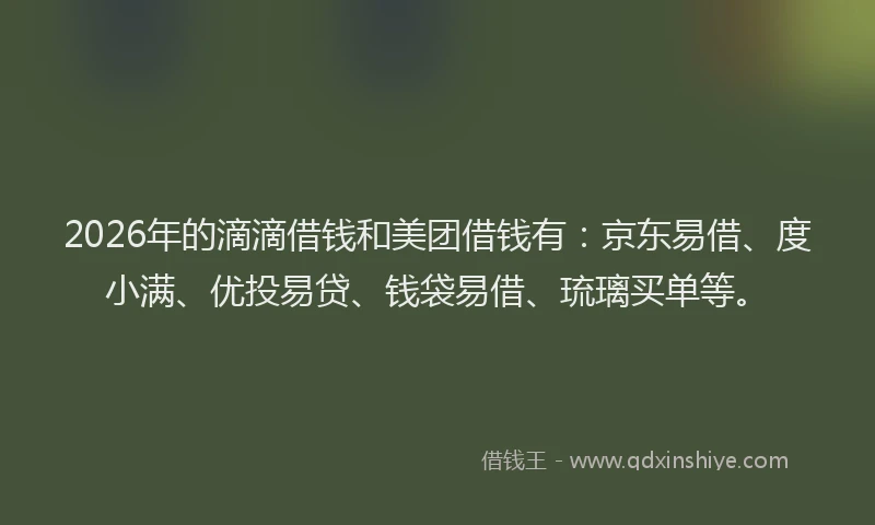 2026年的滴滴借钱和美团借钱有：京东易借、度小满、优投易贷、钱袋易借、琉璃买单等。