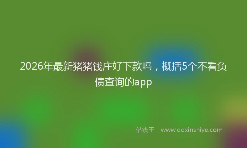 2026年最新猪猪钱庄好下款吗，概括5个不看负债查询的app