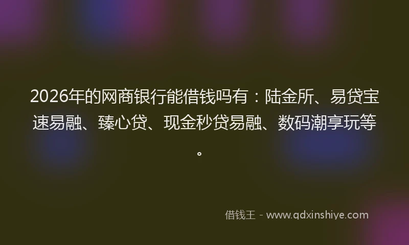 2026年的网商银行能借钱吗有：陆金所、易贷宝速易融、臻心贷、现金秒贷易融、数码潮享玩等。