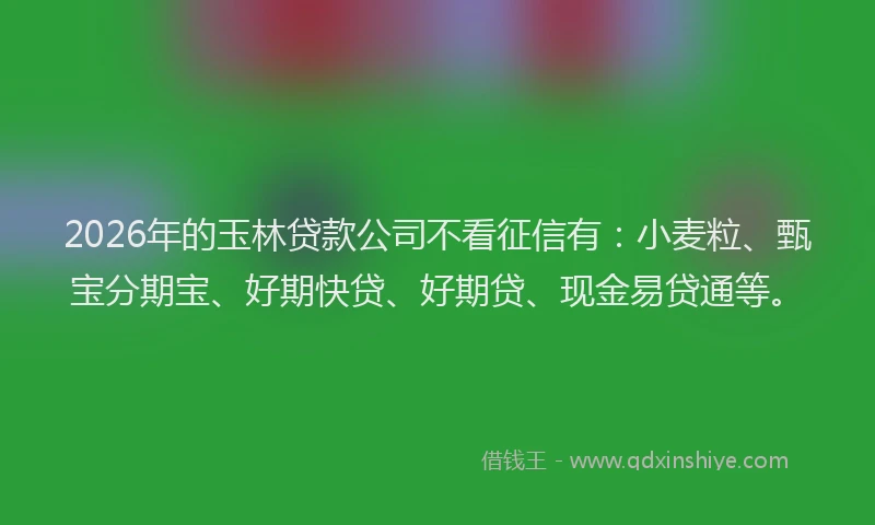 2026年的玉林贷款公司不看征信有：小麦粒、甄宝分期宝、好期快贷、好期贷、现金易贷通等。