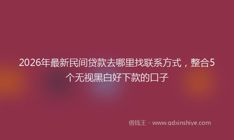 2026年最新民间贷款去哪里找联系方式，整合5个无视黑白好下款的口子