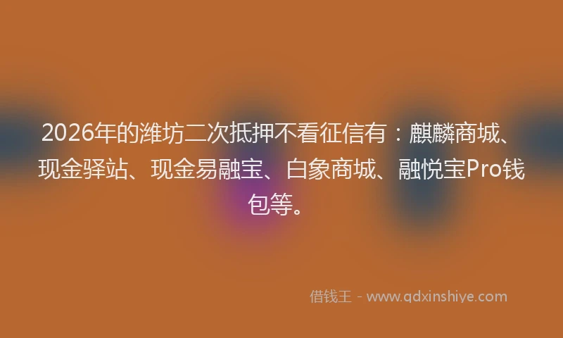 2026年的潍坊二次抵押不看征信有：麒麟商城、现金驿站、现金易融宝、白象商城、融悦宝Pro钱包等。