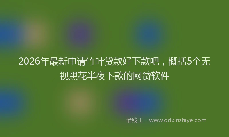 2026年最新申请竹叶贷款好下款吧，概括5个无视黑花半夜下款的网贷软件