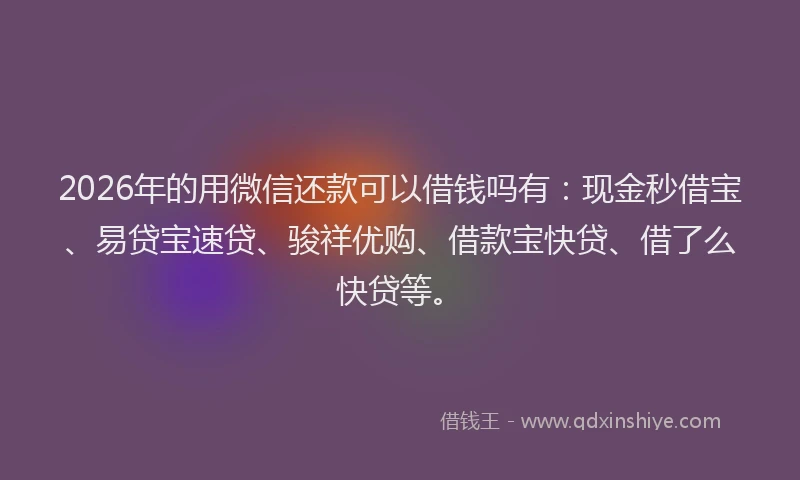 2026年的用微信还款可以借钱吗有：现金秒借宝、易贷宝速贷、骏祥优购、借款宝快贷、借了么快贷等。