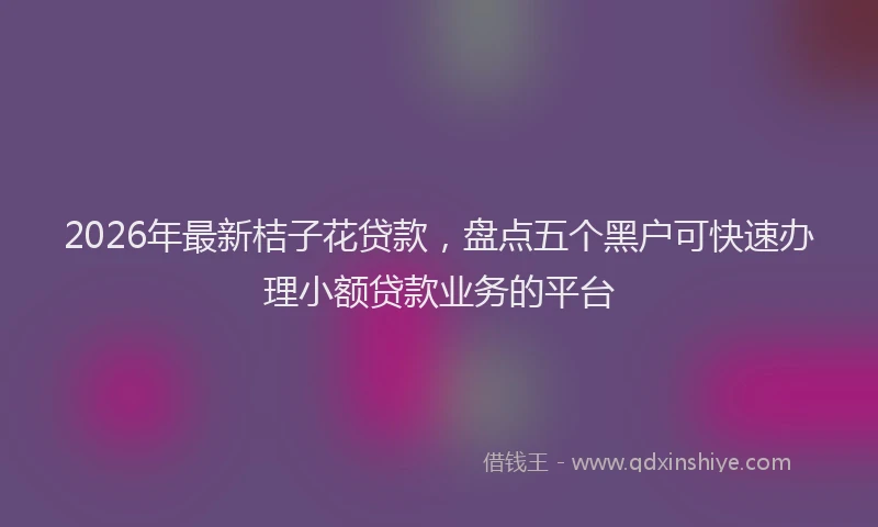 2026年最新桔子花贷款，盘点五个黑户可快速办理小额贷款业务的平台