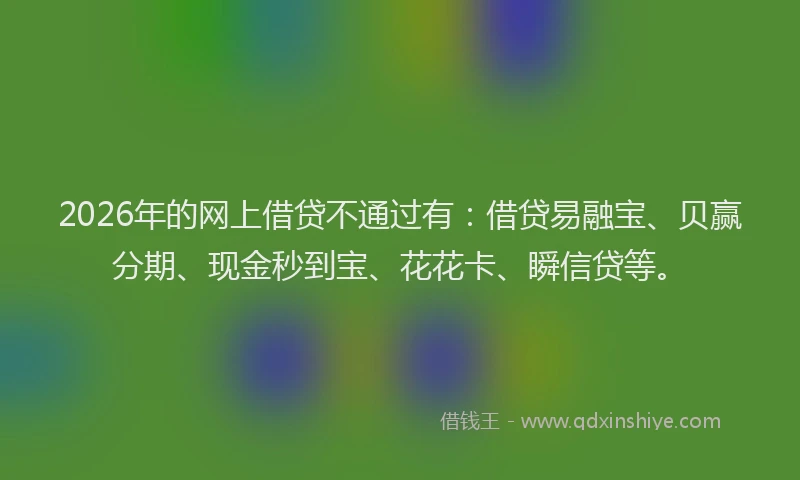 2026年的网上借贷不通过有：借贷易融宝、贝赢分期、现金秒到宝、花花卡、瞬信贷等。
