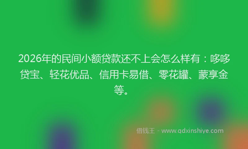2026年的民间小额贷款还不上会怎么样有：哆哆贷宝、轻花优品、信用卡易借、零花罐、蒙享金等。