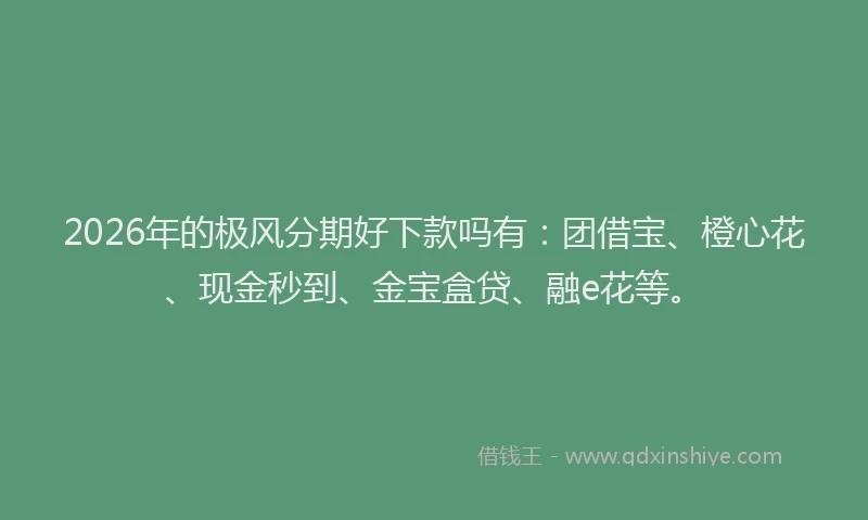 2026年的极风分期好下款吗有：团借宝、橙心花、现金秒到、金宝盒贷、融e花等。