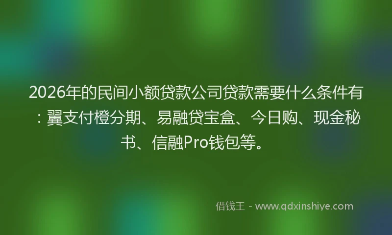 2026年的民间小额贷款公司贷款需要什么条件有：翼支付橙分期、易融贷宝盒、今日购、现金秘书、信融Pro钱包等。