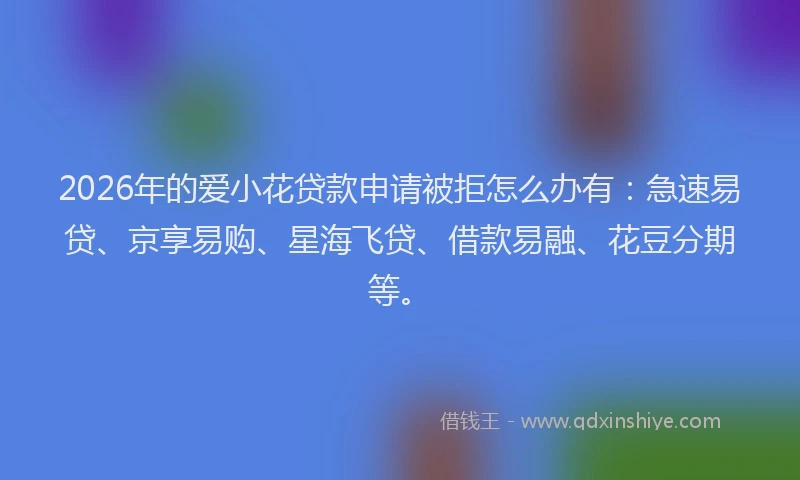 2026年的爱小花贷款申请被拒怎么办有：急速易贷、京享易购、星海飞贷、借款易融、花豆分期等。