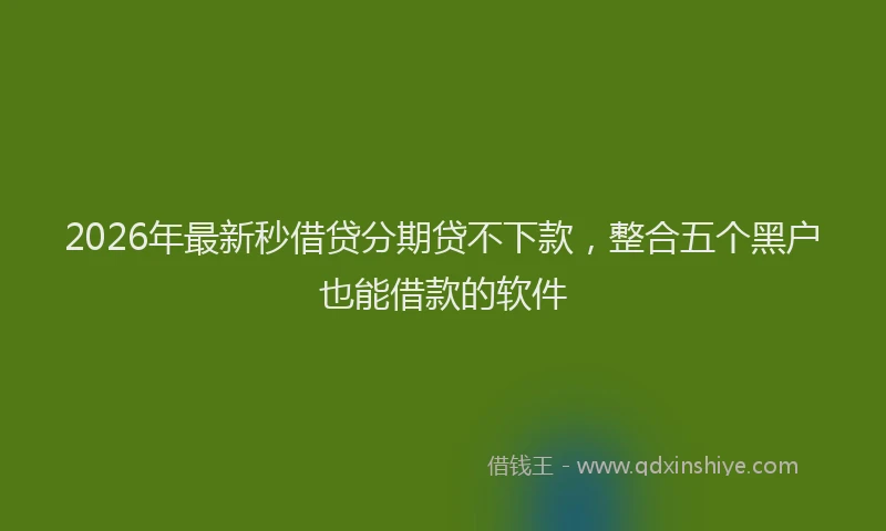 2026年最新秒借贷分期贷不下款，整合五个黑户也能借款的软件