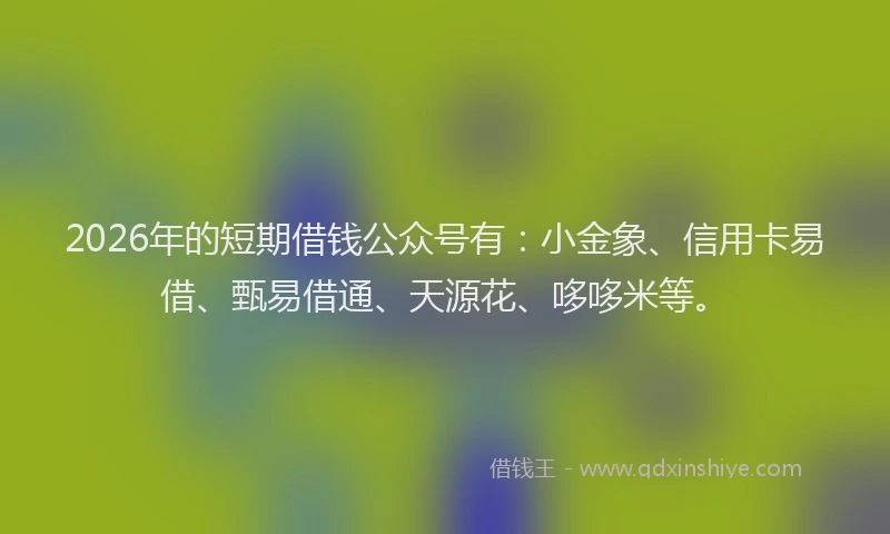 2026年的短期借钱公众号有：小金象、信用卡易借、甄易借通、天源花、哆哆米等。