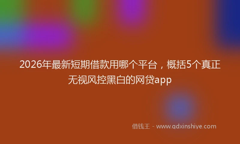 2026年最新短期借款用哪个平台，概括5个真正无视风控黑白的网贷app
