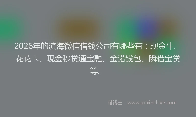 2026年的滨海微信借钱公司有哪些有：现金牛、花花卡、现金秒贷通宝融、金诺钱包、瞬借宝贷等。