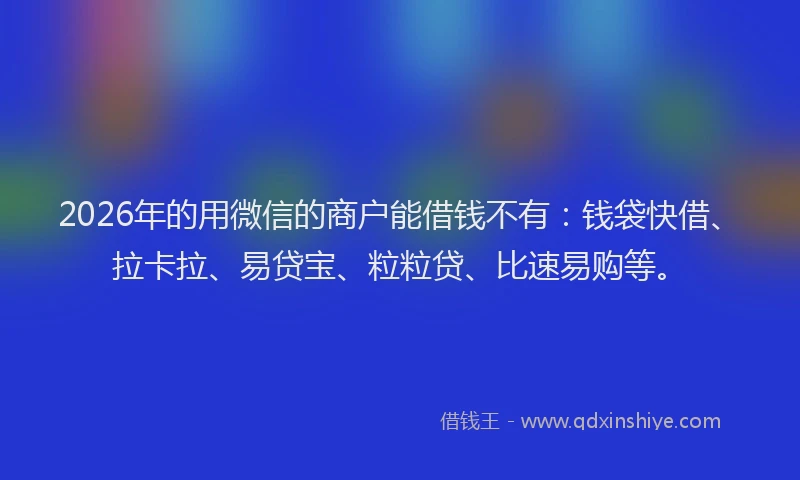 2026年的用微信的商户能借钱不有：钱袋快借、拉卡拉、易贷宝、粒粒贷、比速易购等。