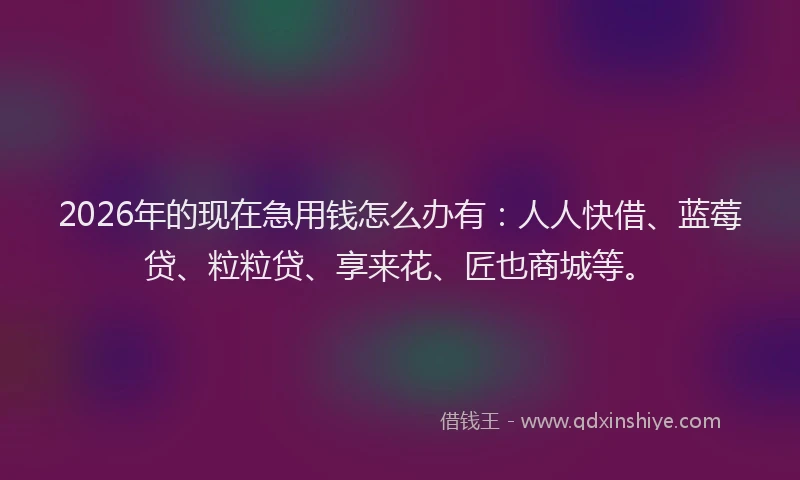 2026年的现在急用钱怎么办有：人人快借、蓝莓贷、粒粒贷、享来花、匠也商城等。