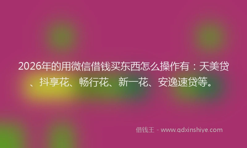 2026年的用微信借钱买东西怎么操作有：天美贷、抖享花、畅行花、新一花、安逸速贷等。