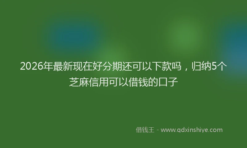 2026年最新现在好分期还可以下款吗，归纳5个芝麻信用可以借钱的口子