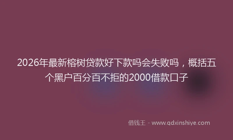 2026年最新榕树贷款好下款吗会失败吗，概括五个黑户百分百不拒的2000借款口子