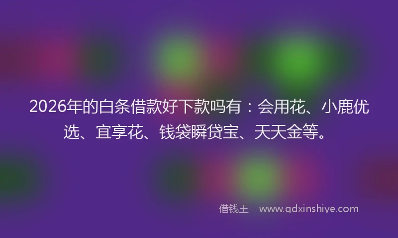2026年的白条借款好下款吗有：会用花、小鹿优选、宜享花、钱袋瞬贷宝、天天金等。
