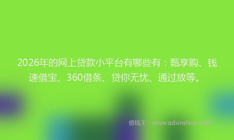 2026年的网上贷款小平台有哪些有：甄享购、钱速借宝、360借条、贷你无忧、通过放等。