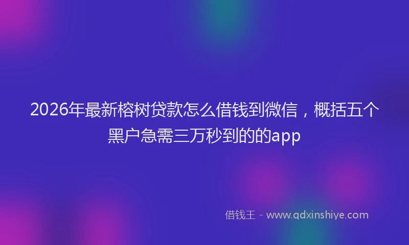 2026年最新榕树贷款怎么借钱到微信，概括五个黑户急需三万秒到的的app