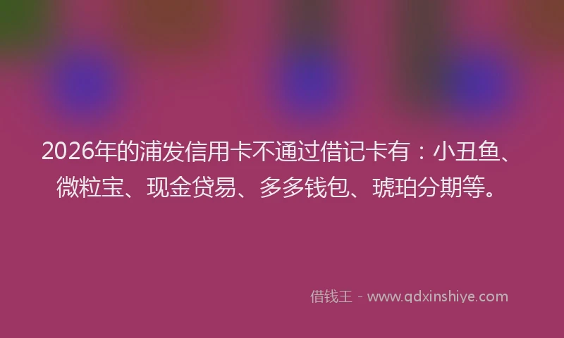 2026年的浦发信用卡不通过借记卡有：小丑鱼、微粒宝、现金贷易、多多钱包、琥珀分期等。