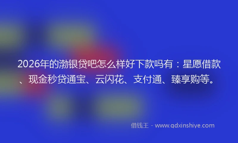 2026年的渤银贷吧怎么样好下款吗有：星愿借款、现金秒贷通宝、云闪花、支付通、臻享购等。