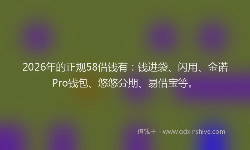 2026年的正规58借钱有：钱进袋、闪用、金诺Pro钱包、悠悠分期、易借宝等。
