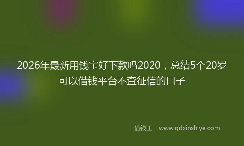 2026年最新用钱宝好下款吗2020，总结5个20岁可以借钱平台不查征信的口子