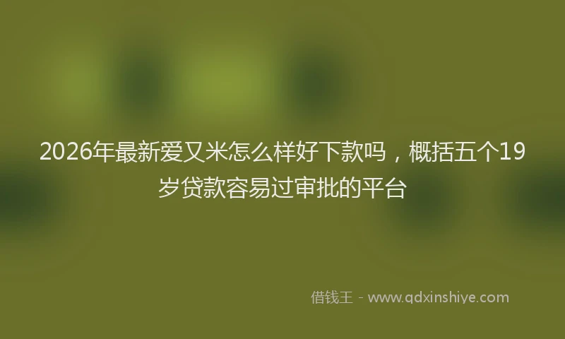 2026年最新爱又米怎么样好下款吗，概括五个19岁贷款容易过审批的平台